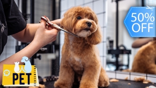 [Image: Grooming Completo para Tu Mascota: Perro, Gato, Conejo o Hamsterm]