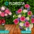 [Image: ¡Paga Q249 en lugar de Q498 por Arreglo Floral Premium a Elección entre: Canasta de Amor, Canasta Silvestre, Florero para Mamá o Sweet Garden con Entrega Incluida!m]