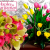 [Image: ¡Paga Q499 en lugar de Q1,000 por Arreglo Floral de Lujo a Elección: A) Romance Tulipanes con 20 Tulipanes y 2 Docenas de Rosas o B) Holland Love con 2 Tallos de Orquídeas y 2 Docenas de Rosas!m]