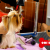 [Image: ¡Paga Q100 en lugar de Q275 por Grooming para Tu Perro: Baño Medicado Antipulgas + Corte + Cepillado + Secado + Limpieza de Glándulas + Corte y Limado de Uñas + Limpieza y Depilación de Oídos + Desparasitante + Moño o Pañuelo y Más!m]