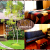 [Image: ¡Paga Q499 en vez de Q976 por Estadía para 2 personas en Cabaña Jr Equipada con Sala, Chimenea, Balcón y Más + 2 Desayunos!m]