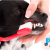 [Image: ¡Paga Q295 en lugar de Q595 por Limpieza Dental para Mascota con: Remoción de Sarro, Pulido Dental, Revisión de Caries y Abscesos + Bolsa Dental Life de Purina para Cuidado Dental en Casa!m]