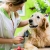 [Image: ¡Sin Restricción de Tamaño! ¡Paga Q155 en vez de Q355 por Grooming para tu Mascota: Baño Antigarrapatas + Corte de Pelo y Uñas + Cepillado + Limpieza de Glándulas y Oídos + Pipeta Antipulgas + Desparasitante o Multivitamínico y Más!m]