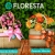 [Image: ¡Paga Q249 en lugar de Q498 por Arreglo Floral Premium a Elección entre: Canasta de Amor, Canasta Silvestre, Florero para Mamá o Sweet Garden con Entrega Incluida!m]