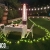 [Image: ¡Paga Q389 en Lugar de Q650 por Cena Romántica en Jardín que Incluye: 2 Platos de Pasta a Elección + 1 Botella de Vino + 2 Postres + 2 Cafés + Mesa con Decoración + Calentador de Ambiente + Mini Sesión de Fotos Profesionales + 3 Fotos Digitales!m]