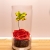 [Imagen:¡Paga $20 en Lugar de $40 por Delicado Arreglo de 1 Rosa Preservada Tamaño XL + 1 Orquídea Artificial en Base Cilíndrica de Cristal!]