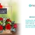 [Image: ¡Paga Q225 en lugar de Q450 por Romántico Arreglo Floral a Elección entre: Red Bubble (12 rosas, astromelias en base de cristal) o Mensaje de Amor (12 rosas, astromelias en base de madera con pizzarra colgante)!m]