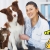 [Image: ¡Paga $25 en Lugar de $71 por Consulta Veterinaria + Baño Medicado + Desparasitación Inyectada + Aplicación de Pipeta!m]