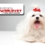 [Image: ¡Paga $15 en lugar de $51 por paquete para mascota que incluye: limpieza dental + grooming completo + consulta veterinaria + desparasitante + aplicación de Fipronil (para pulgas y garrapatas) en Veterinaria Worldvet!m]