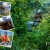[Image: ¡Paga Q65 en lugar de Q140 por 1 día de diversión que incluye: 1 paseo en canopy + 1 hora en bicicleta + 1 vuelta en Carrousel +1 salto en Eurobungy en Paseo Cayalá!m]