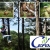 [Image: ¡Paga Q99 en lugar de Q230 por un día de extrema diversión que incluye: Canopy + Gotcha + Golfito + Caminata por senderos + Uso de las instalaciones en Ceforli!m]