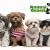 [Image: ¡Paga Q75 en lugar de Q150 por Grooming completo para tu mascota que incluye: Baño con Shampoo y Acondicionador Anti-alérgico + Corte + Secado + Cepillado + Limpieza de Glándulas y Oídos + Corte de Uñas y Perfumado + Moño o corbatín en Animal Genial!m]