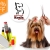 [Image: ¡Paga $15 en lugar de $75 por Paquete para Mascota que incluye: Limpieza Dental + Grooming Completo + Consulta Veterinaria + Desparasitante + Aplicación de Pipeta (para pulgas y garrapatas) en Veterinaria Koala!m]