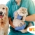 [Image: ¡Paga $15 en Lugar de $32 Por Consulta Veterinaria + Desparasitación Interna para tu Mascota!m]