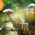 [Image: ¡Paga Q35 en lugar de Q75 por Paquete de Paintball que incluye: 75 Paintballs + Marcadora + Tanque + Loader + Máscara + Chaleco + Overol o Jacket en Paintball La Cabaña!m]