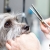[Image: ¡Paga $12.50 en Lugar de $25 Por Grooming para Mascota: Baño + Secado + Corte y Cepillado de Pelo + Limpieza de Oídos + Limpieza de Glándulas Anales + Cepillado Dental!m]