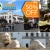 [Image: ¡Paga $30 en lugar de $60 por Tour Guiado a Guatemala: Entrada al Zoológico La Aurora + Visita a Oakland Mall y Paseo Cayalá y más con Travel Connections! ¡SÓLO 200 CUPONES DISPONIBLES!m]