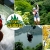 [Image: ¡Paga Q145 en vez de Q295 por 1 Día de Aventura con: Canopy de Bosque y de Laguna + Rappel + Columpio Gigante + Balsa con Remos + Caminata en Bosque Virgen en Parque Calderas!m]