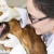 [Image: ¡Paga $25 en vez de $103 por Limpieza Dental para Mascota + Electrocardiograma + Consulta Veterinaria General + Grooming Completo en Animal Hospital!m]