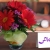 [Image: ¡Paga $16 en vez de $35 por Arreglo Floral de Gerberas en Base Acrílica en Floresse Flores y Jardines! ¡SÓLO 153 CUPONES DISPONIBLES!m]