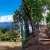 [Image: ¡Paga Q99 en Lugar de Q295 por Camping para 4 con: 4 Desayunos Típicos o de Pancakes + 4 Bebidas a Elección (Café, Jugo de Naranja o Jamaica) + Uso de Instalaciones y Actividades de Montaña: Senderismo, Puentes, Hamacas, Granjita!m]