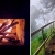 [Image: ¡Conéctate con la Naturaleza en La Palma, Chalatenango! ¡Paga $42.60 en Lugar de $71 por Estadía de 1 Noche para 4 Personas + 4 Desayunos Típicos + 2 Usos de Columpio!m]