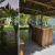 [Image: ¡Playa, Lancha y Relax! ¡Paga $390 en Lugar de $749 por Escapada Náutica Premium Hasta Para 9 Personas que Incluye: Estadía de 1 Noche en Isola Beach House, Costa del Sol + Paseo en Lancha Deportiva al Atardecer por el Estero Jaltepec!m]