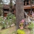 [Image: ¡Vive el Clima Fresco de Montaña! ¡Paga $37 en Lugar de $77 por Estadía de 1 Noche para 4 Personas en Habitación Doble + 2 Desayunos Típicos en Hotel y Restaurante La Posada del Cielo en El Pital, Chalatenango!m]