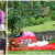 [Imagen:¡Paga Q115 en lugar de Q350 por Sesión Fotográfica del Día del Cariño hasta para 5 Personas que Incluye: Sesión de 20 Minutos + Set Temático al Aire Libre + 12 Fotografías Digitales en Alta Resolución + 2 Impresiones 5x7!]
