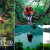 [Imagen:¡Paga Q195 en vez de Q390 por 1 Día de Aventura Extrema con uso ILIIMITADO de: Canopy de Laguna + Rappel + Columpio Gigante + Balsa con Remos + Caminata en Bosque Virgen!]