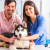 [Imagen:¡Sin Restricción de Tamaño! ¡Paga Q184 en vez de Q460 por Grooming Completo con: Consulta Veterinaria + Pipeta Antipulgas + Baño Antigarrapatas + Corte de Pelo y Uñas + Cepillado de Dientes + Limpieza de Glándulas y Oídos + Desparasitante y Más!]