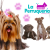 [Imagen:¡Sin Restricción de Tamaño! ¡Paga Q75 en vez de Q175 por Grooming Completo para Mascota con: Baño de Avena y Coco + Corte de Pelo + Cepillado + Secado + Corte de Uñas + Limpieza de Glándulas y Oídos + Enjuague Bucal + Moño o Pañuelo y Más!]