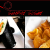 [Imagen:¡Paga Q112 en lugar de Q225 por Combo Familiar a Domicilio que Incluye: 3 Burritoshi de Cangrejo Tempurizado + Orden de Wantan de Camarón!]