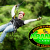 [Imagen:¡Paga $14 en Lugar de $35 por Divertido y Extremo Recorrido en Canopy!]