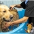 [Imagen:¡Sin Restricción de Tamaño! ¡Paga Q99 en vez de Q250 por Grooming para tu Mascota con: Baño Antipulgas, Corte, Cepillado, Limpieza de Glándulas Anales, Corte y Limado de Uñas, Limpieza de Oídos, Pañuelo y Perfume + Desparasitante + Pipeta Antipulgas!]