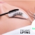 [Imagen:¡Paga $12 en Lugar de $38 por Lifting (Estiramiento) de Pestañas + Depilación de Cejas!]