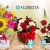[Imagen:¡Paga Q175 en lugar de Q295 por Hermoso Arreglo Floral a Elección entre: Red Bubble (Rosas Rojas y Claveles Blancos) Silvestre Petit (Rosas y Girasoles) o Caja de Rosas (Rosas y Lirios)!]