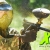 [Imagen:¡Paga Q138 en vez de Q275 por Día de Diversión Extrema que Incluye: Paintball para 2 con 200 Paintballs + Equipo de Seguridad: Mascara, Chaleco y Marcadora + Tanque de CO2 + Uso del Campo + Entradas al Parque + 2 Combos de Pizza y 1 Bebida!]