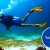 [Imagen:¡Paga $35 en Lugar de $75 por Curso de Buceo para Adultos (Discover Scuba Diving) o Curso de Buceo para Niños (Bubble Maker) en el Lago de Coatepeque!]