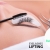 [Imagen:¡Paga $12 en Lugar de $38 por Lifting (Estiramiento) de Pestañas + Depilación de Cejas!]