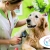 [Imagen:¡Sin Restricción de Tamaño! ¡Paga Q135 en lugar de Q450 por Grooming para Tu Mascota con: Baño Medicado Antipulgas y Antigarrapatas + Estilizado de Pelo + Limado de Uñas + Limpieza de Glándulas y Oídos + Cepillado de Dientes + Desparasitante y Más!]