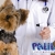 [Imagen:¡Paga $15 en lugar de $39.75 por un Paquete para tu Mascota: Cambio de Look + Consulta veterinaria o Limpieza Dental +2 Fotos Profesionales en foto-estudio + 1 Taza con Impresión de Fotos y galletas de carne para tu perro todo en Patitas Veterinaria!]