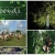 [Imagen:¡Paga Q275 en lugar de Q575 por Paquete de 2 Noches de Campamento y Actividades de Aventura + 2 Desayunos Chapines en Parque Natural Ixpanpajul! Obtén 20% de descuento en todas las demás actividades de aventura del parque.]