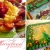 [Imagen:¡Paga $16 en lugar de $33 por un Pastel decorado de Crema Chantillí de 40 porciones o una recomendación del chef (Pasión de Frutas, Chocolate ron y almendras, Pasión Purpura, Chocolate con Loroco y Tres Leches con Ciruela) en Maryland Pastelería!]