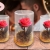 [Imagen:¡Paga $18 en Lugar de $40 por Delicada Rosa Preservada en Capsula de Cristal con Base de Madera!]