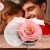 [Imagen:¡Paga $10 en Lugar de $20 por Rosa Mediana en Esfera Pequeña de Acrílico!]