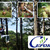 [Imagen:¡Paga Q99 en lugar de Q230 por un día de extrema diversión que incluye: Canopy + Gotcha + Golfito + Caminata por senderos + Uso de las instalaciones en Ceforli!]