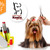 [Imagen:¡Paga $15 en lugar de $75 por Paquete para Mascota que incluye: Limpieza Dental + Grooming Completo + Consulta Veterinaria + Desparasitante + Aplicación de Pipeta (para pulgas y garrapatas) en Veterinaria Koala!]