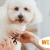 [Imagen:¡Paga $10.50 en Lugar de $21 Por Grooming para Perro: Baño a Elección + Secado + Corte y Cepillado de Pelo + Corte y Limado de Uñas + Limpieza de Oídos + Limpieza de Glándulas Anales + Pañoleta o Moño + Perfumado + Revisión Física!]