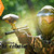 [Imagen:¡Paga Q35 en lugar de Q75 por Paquete de Paintball que incluye: 75 Paintballs + Marcadora + Tanque + Loader + Máscara + Chaleco + Overol o Jacket en Paintball La Cabaña!]